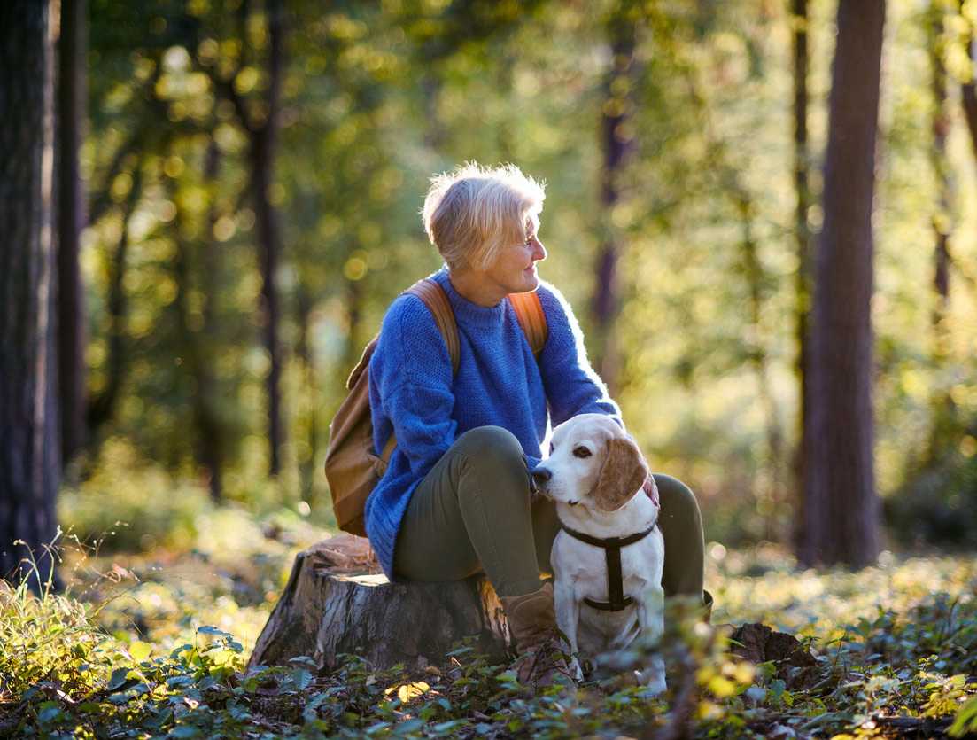 woman and dog in forest